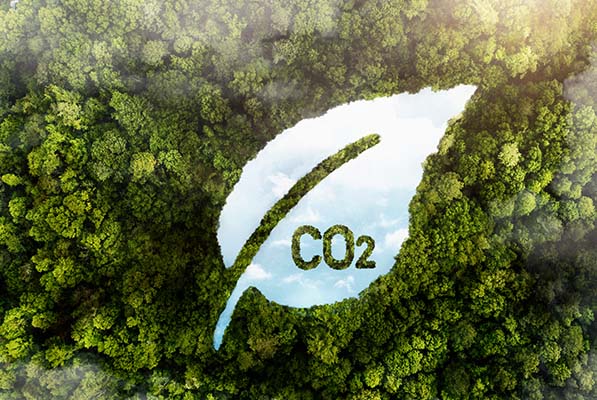 CO2 Emmissions